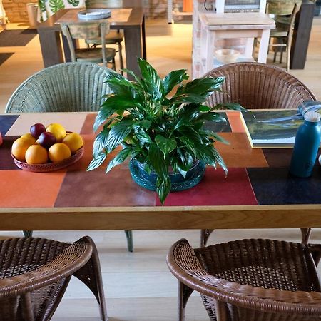 تْشيفيتانوفا ماركي Invento Bnb Unconventional Maison المظهر الخارجي الصورة